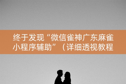 终于发现“微信雀神广东麻雀小程序辅助”（详细透视教程）-哔哩哔哩