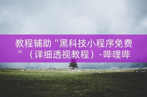 教程辅助“黑科技小程序免费”（详细透视教程）-哔哩哔哩