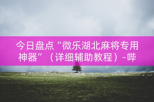 今日盘点“微乐湖北麻将专用神器”（详细辅助教程）-哔哩哔哩