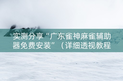实测分享“广东雀神麻雀辅助器免费安装”（详细透视教程）-哔哩哔哩