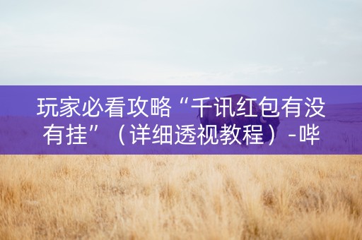 玩家必看攻略“千讯红包有没有挂”（详细透视教程）-哔哩哔哩