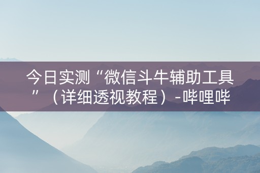 今日实测“微信斗牛辅助工具”（详细透视教程）-哔哩哔哩