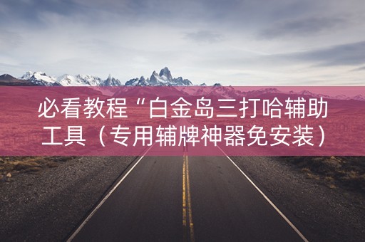 必看教程“白金岛三打哈辅助工具（专用辅牌神器免安装）