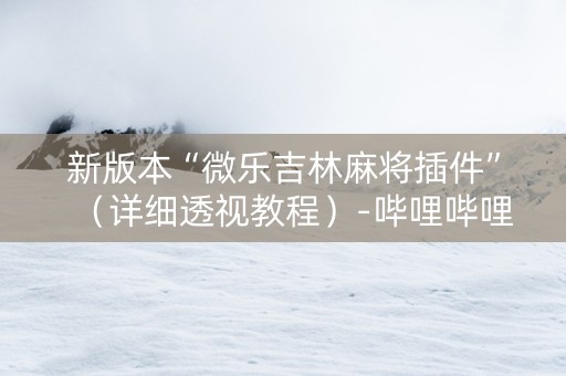 新版本“微乐吉林麻将插件”（详细透视教程）-哔哩哔哩