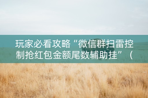 玩家必看攻略“微信群扫雷控制抢红包金额尾数辅助挂”（详细透视教程）-哔哩哔哩