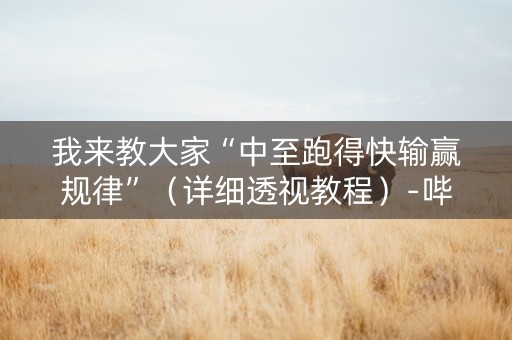 我来教大家“中至跑得快输赢规律”（详细透视教程）-哔哩哔哩
