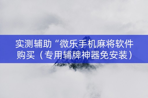 实测辅助“微乐手机麻将软件购买（专用辅牌神器免安装）