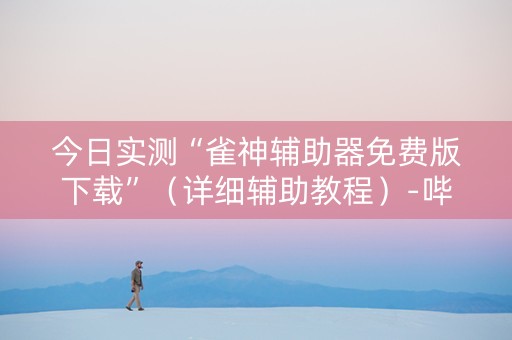 今日实测“雀神辅助器免费版下载”（详细辅助教程）-哔哩哔哩