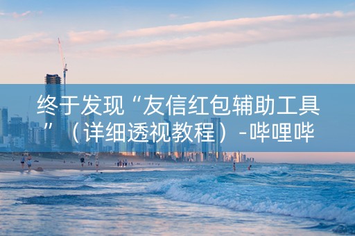 终于发现“友信红包辅助工具”（详细透视教程）-哔哩哔哩