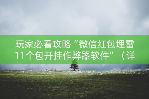 玩家必看攻略“微信红包埋雷11个包开挂作弊器软件”（详细透视教程）-哔哩哔哩