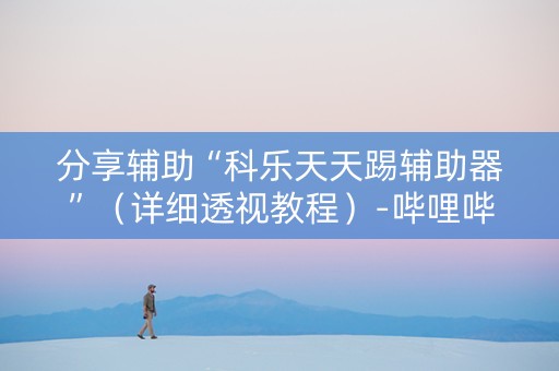 分享辅助“科乐天天踢辅助器”（详细透视教程）-哔哩哔哩