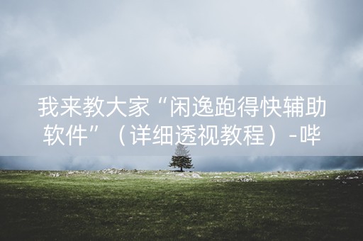 我来教大家“闲逸跑得快辅助软件”（详细透视教程）-哔哩哔哩