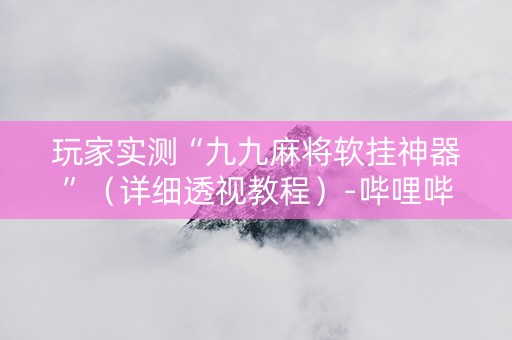 玩家实测“九九麻将软挂神器”（详细透视教程）-哔哩哔哩
