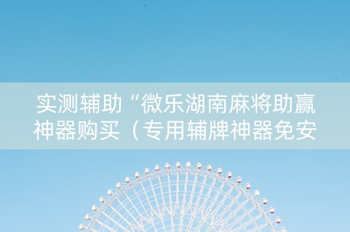 实测辅助“微乐湖南麻将助赢神器购买（专用辅牌神器免安装）
