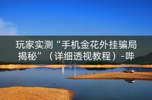 玩家实测“手机金花外挂骗局揭秘”（详细透视教程）-哔哩哔哩