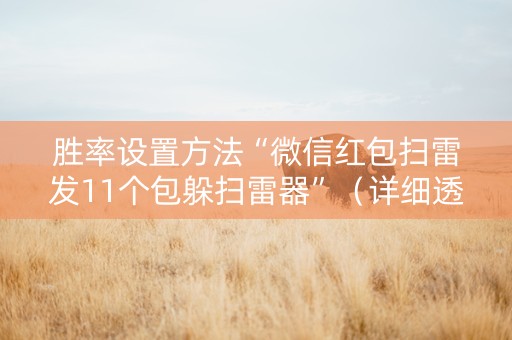 胜率设置方法“微信红包扫雷发11个包躲扫雷器”（详细透视教程）-哔哩哔哩
