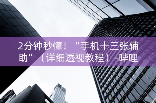 2分钟秒懂！“手机十三张辅助”（详细透视教程）-哔哩哔哩