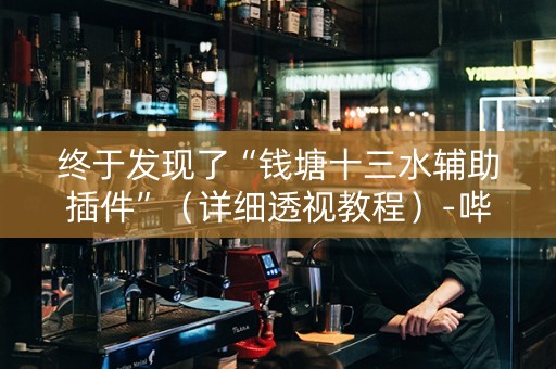 终于发现了“钱塘十三水辅助插件”（详细透视教程）-哔哩哔哩