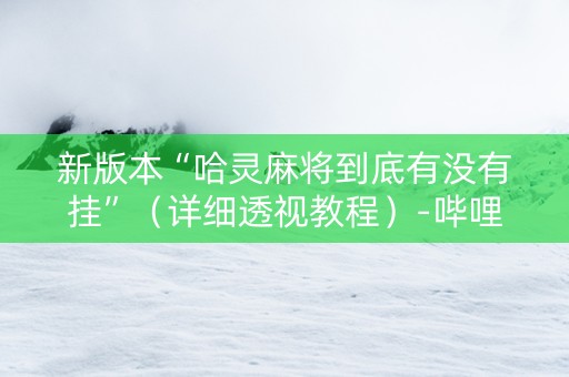 新版本“哈灵麻将到底有没有挂”（详细透视教程）-哔哩哔哩