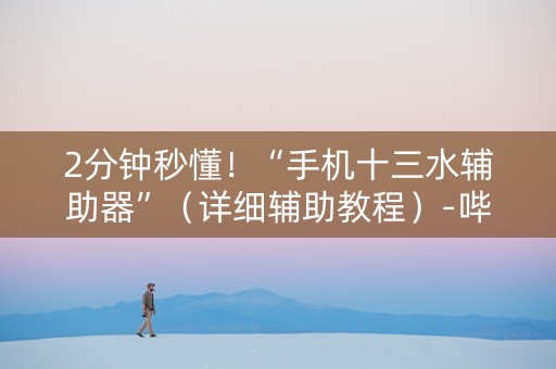 2分钟秒懂！“手机十三水辅助器”（详细辅助教程）-哔哩哔哩