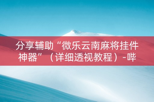 分享辅助“微乐云南麻将挂件神器”（详细透视教程）-哔哩哔哩