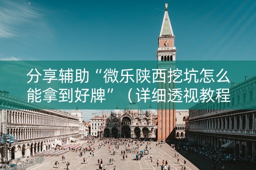 分享辅助“微乐陕西挖坑怎么能拿到好牌”（详细透视教程）-哔哩哔哩