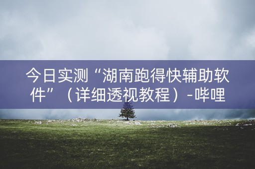 今日实测“湖南跑得快辅助软件”（详细透视教程）-哔哩哔哩