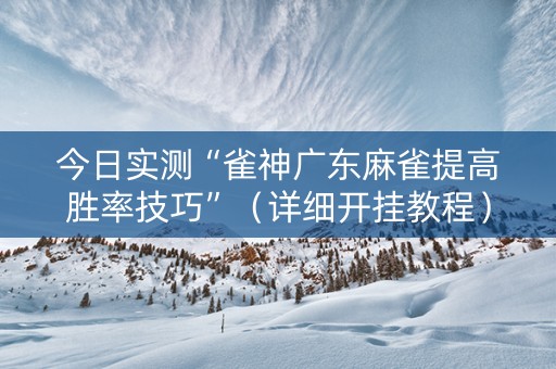 今日实测“雀神广东麻雀提高胜率技巧”（详细开挂教程）-哔哩哔哩