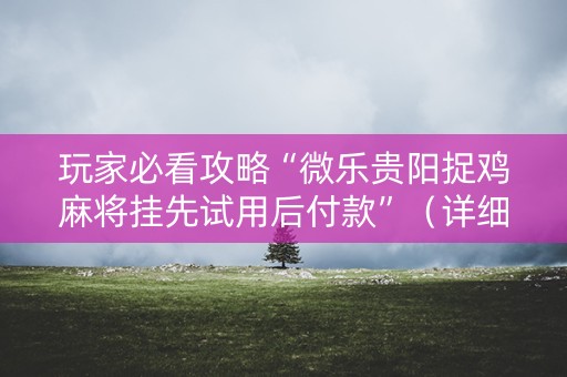 玩家必看攻略“微乐贵阳捉鸡麻将挂先试用后付款”（详细透视教程）-哔哩哔哩