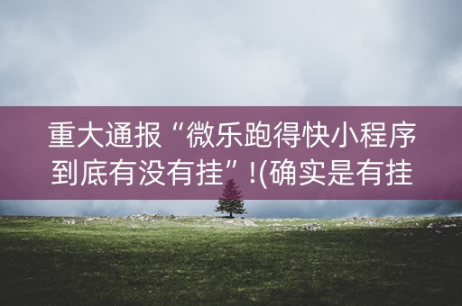 重大通报“微乐跑得快小程序到底有没有挂”!(确实是有挂)-知乎