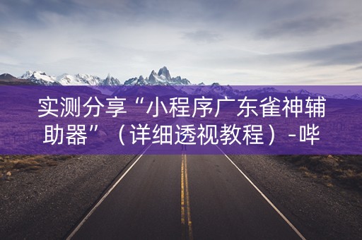 实测分享“小程序广东雀神辅助器”（详细透视教程）-哔哩哔哩