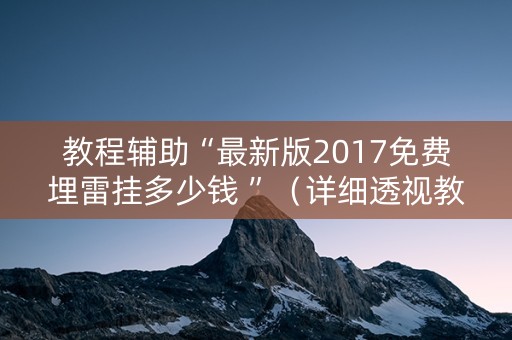教程辅助“最新版2017免费埋雷挂多少钱 ”（详细透视教程）-哔哩哔哩