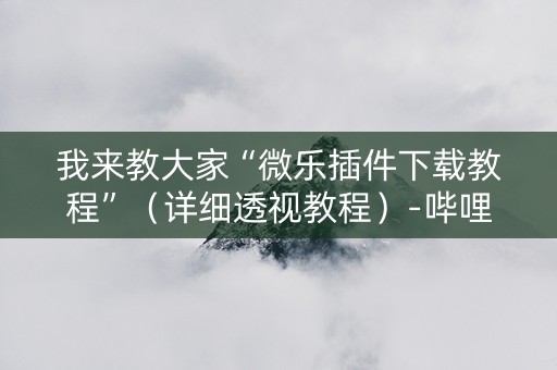 我来教大家“微乐插件下载教程”（详细透视教程）-哔哩哔哩