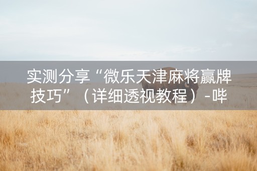 实测分享“微乐天津麻将赢牌技巧”（详细透视教程）-哔哩哔哩