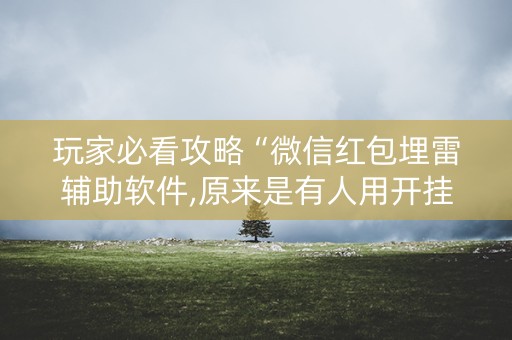 玩家必看攻略“微信红包埋雷辅助软件,原来是有人用开挂”（详细透视教程）-哔哩哔哩