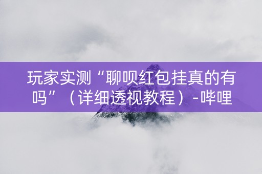 玩家实测“聊呗红包挂真的有吗”（详细透视教程）-哔哩哔哩