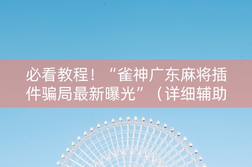 必看教程！“雀神广东麻将插件骗局最新曝光”（详细辅助教程）-哔哩哔哩