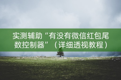实测辅助“有没有微信红包尾数控制器”（详细透视教程）-哔哩哔哩