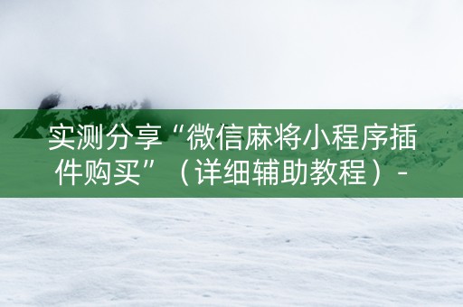 实测分享“微信麻将小程序插件购买”（详细辅助教程）-哔哩哔哩