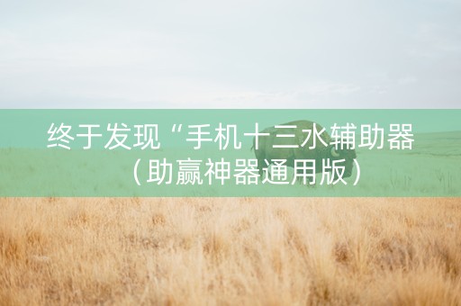 终于发现“手机十三水辅助器（助赢神器通用版）