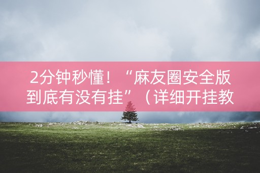 2分钟秒懂！“麻友圈安全版到底有没有挂”（详细开挂教程）-哔哩哔哩
