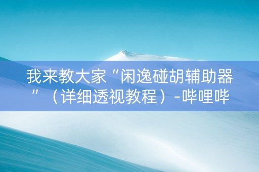 我来教大家“闲逸碰胡辅助器”（详细透视教程）-哔哩哔哩