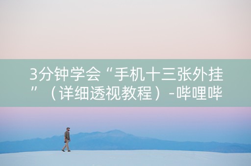 3分钟学会“手机十三张外挂”（详细透视教程）-哔哩哔哩