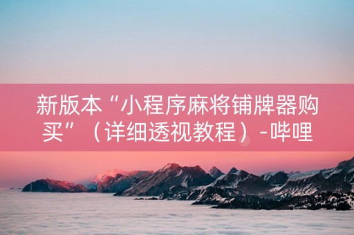 新版本“小程序麻将铺牌器购买”（详细透视教程）-哔哩哔哩