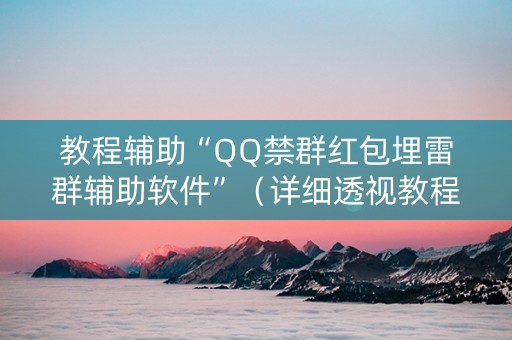 教程辅助“QQ禁群红包埋雷群辅助软件”（详细透视教程）-哔哩哔哩