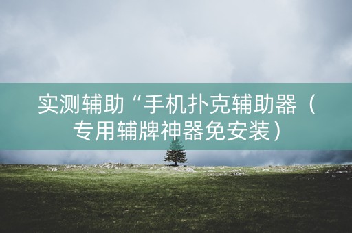 实测辅助“手机扑克辅助器（专用辅牌神器免安装）