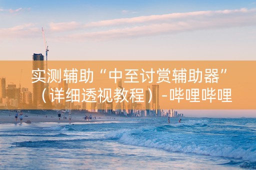 实测辅助“中至讨赏辅助器”（详细透视教程）-哔哩哔哩