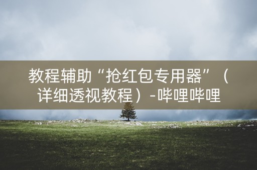 教程辅助“抢红包专用器”（详细透视教程）-哔哩哔哩
