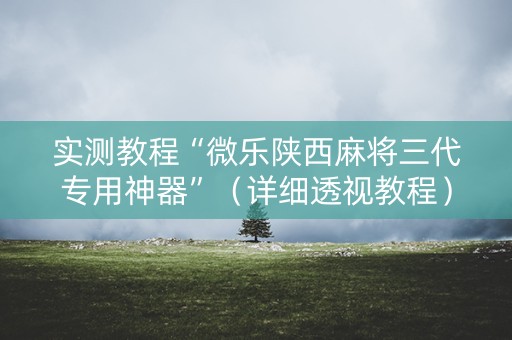 实测教程“微乐陕西麻将三代专用神器”（详细透视教程）-哔哩哔哩