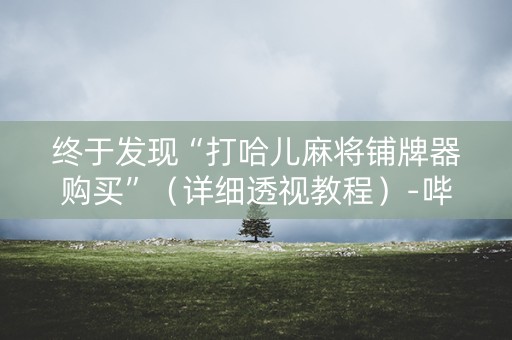 终于发现“打哈儿麻将铺牌器购买”（详细透视教程）-哔哩哔哩